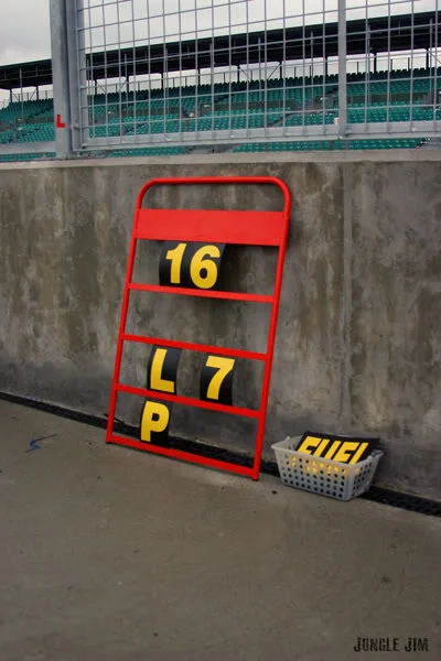 45.webp
