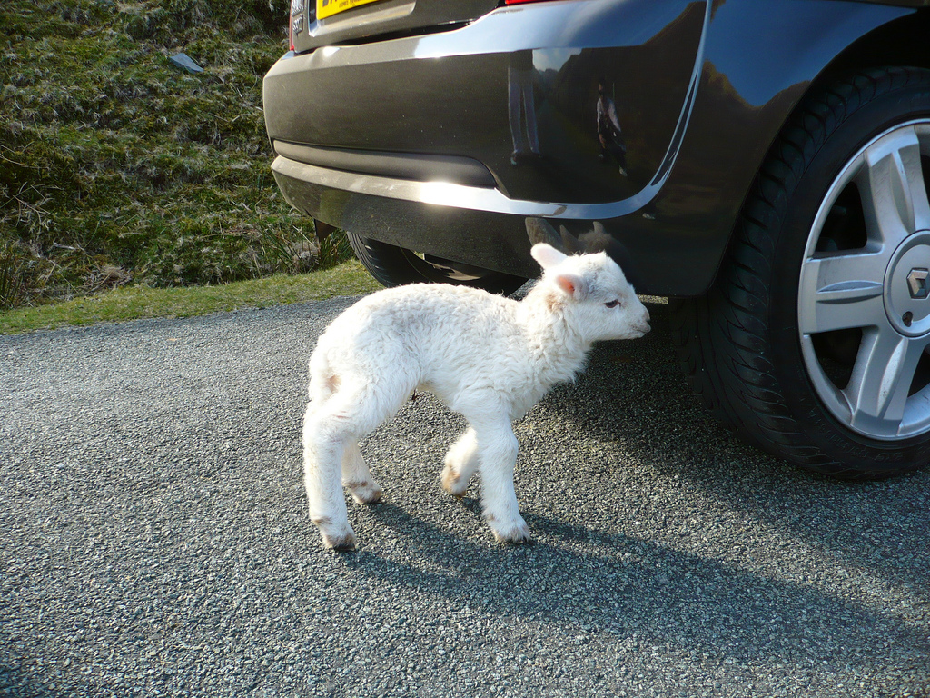 4513742567_89e8ea28d4_b.jpg 4513742567_89e8ea28d4_b.jpg