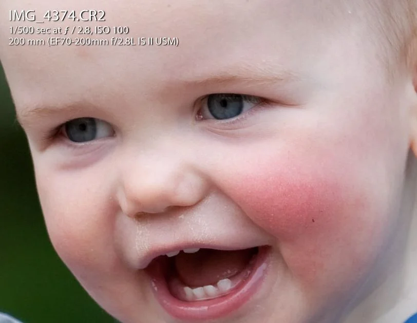 4613399932_bc96cddf03_o.webp