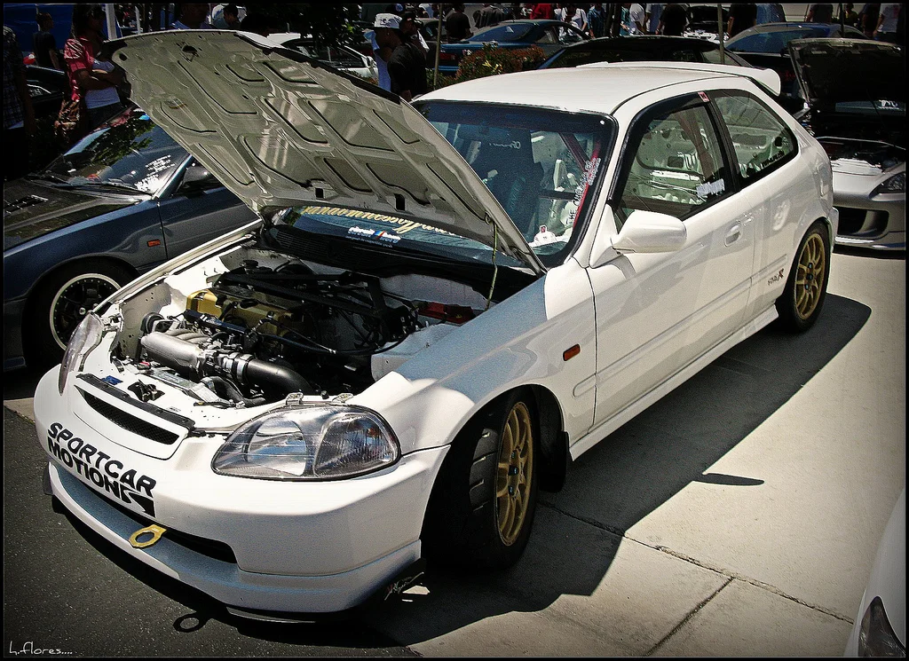 4617065524_f1dd078ca8_b.webp