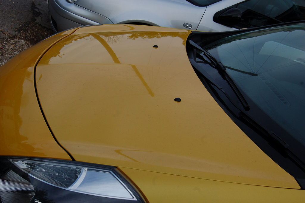 4658019086_62767e826b_b.jpg 4658019086_62767e826b_b.jpg