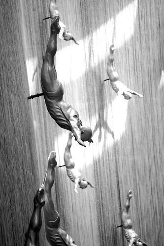 4666033294_7359341606.jpg 4666033294_7359341606.jpg