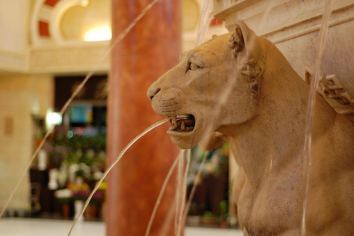 4666103248_ec4a996122.jpg 4666103248_ec4a996122.jpg