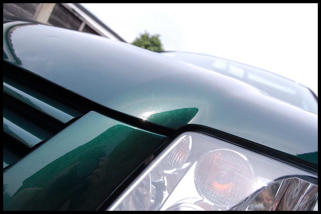 4671188621_75e3199eed_b.jpg 4671188621_75e3199eed_b.jpg