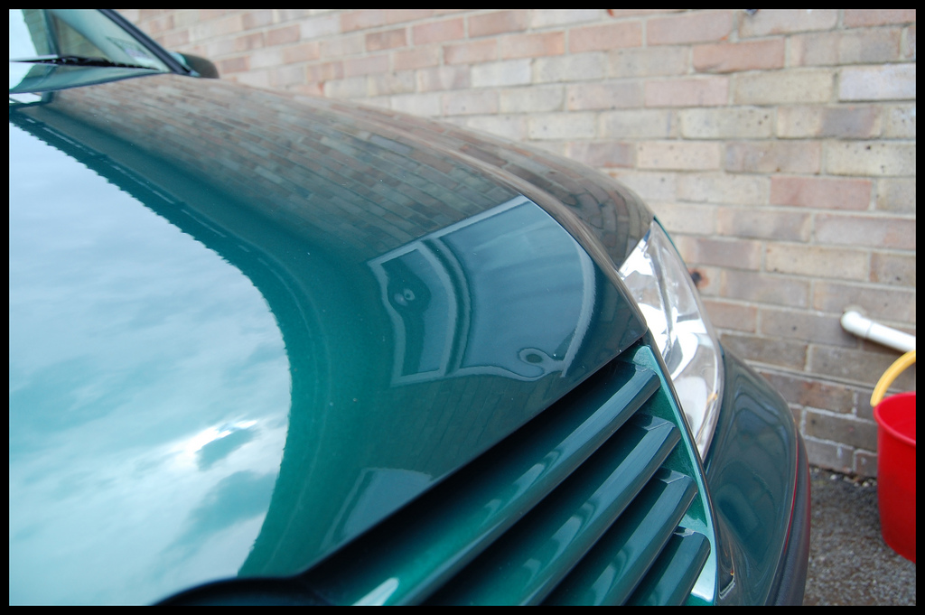 4671190237_5e917c908f_b.jpg 4671190237_5e917c908f_b.jpg