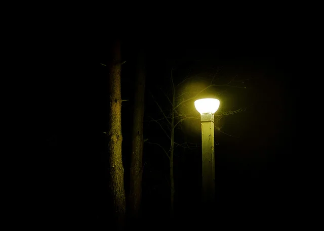 46934185602_58b97b9a20_z.webp