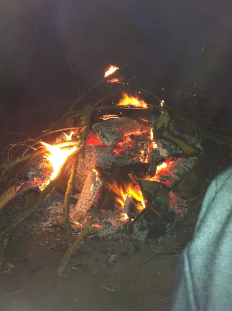 46957848.webp