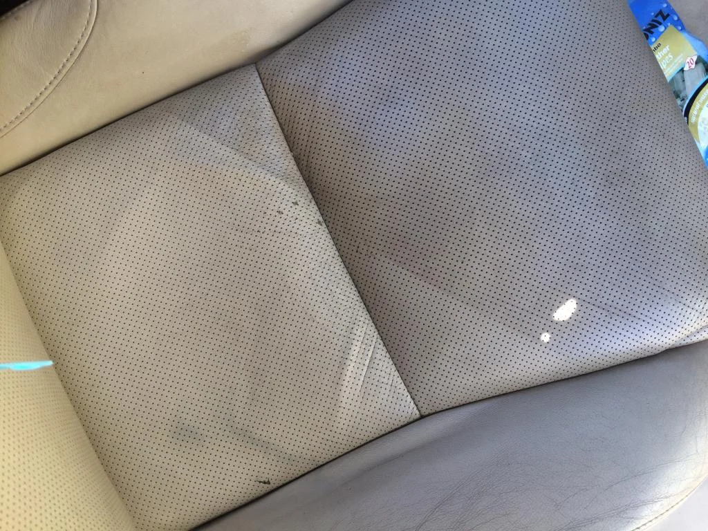 46F04649-2A26-43D2-B3CB-DCC581CABE48_zps0kdy6vjb.webp