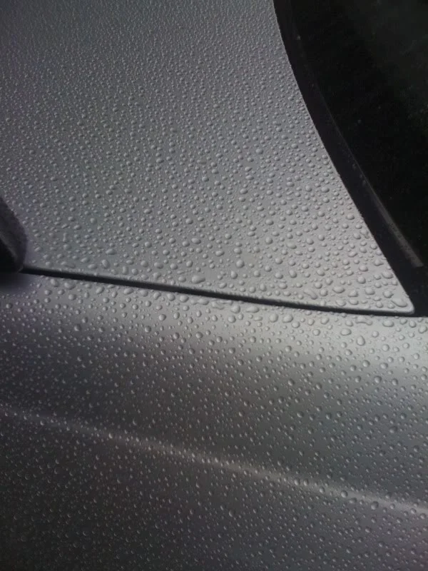 4837f0ae.webp
