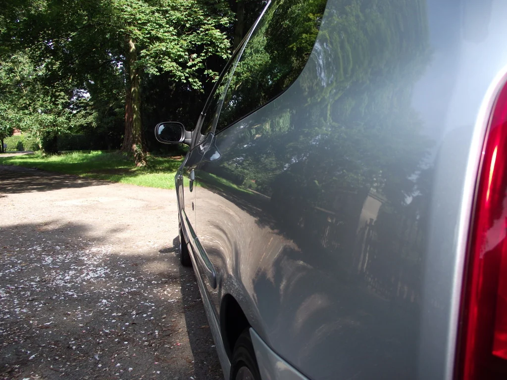 487a9566.webp