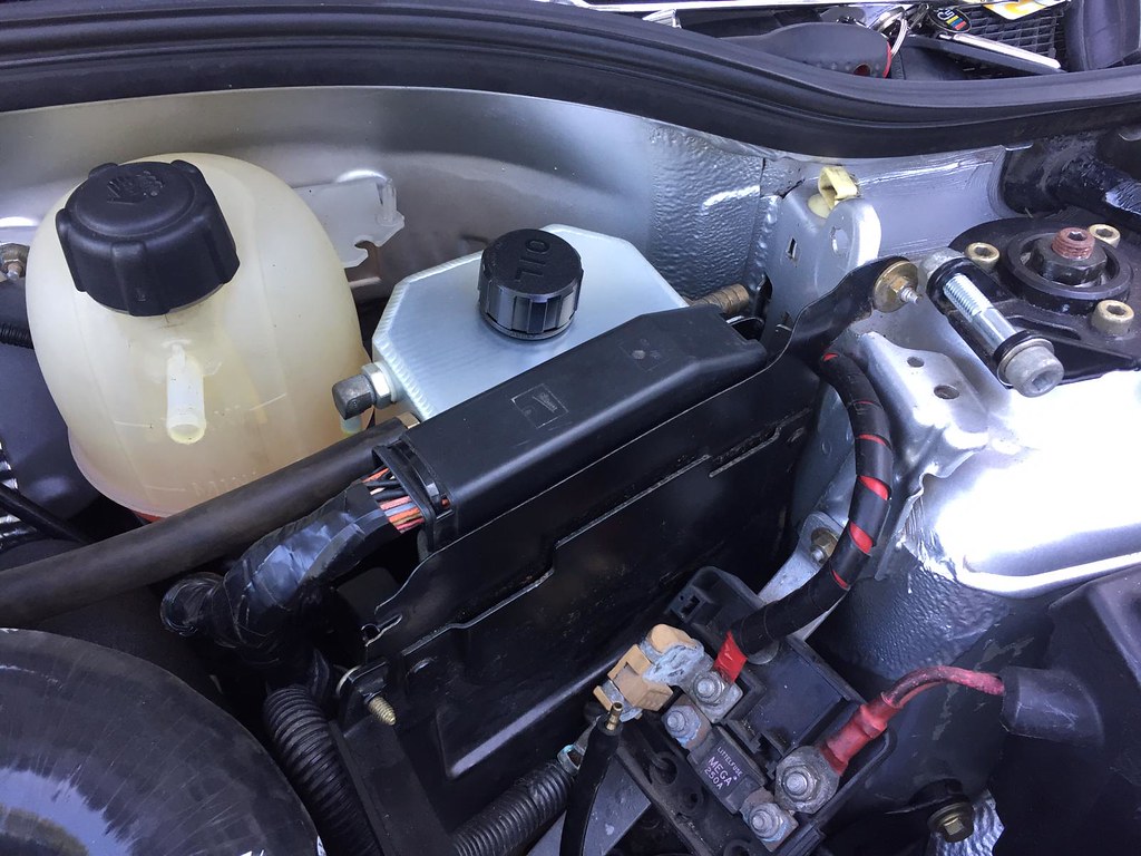 48858997293_fe17d770e8_b.jpg