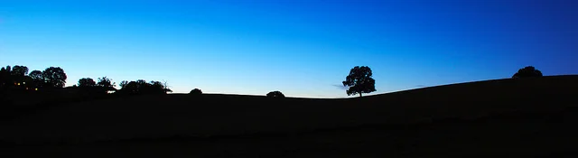 4889000102_bd8bcdd2d3_z.webp