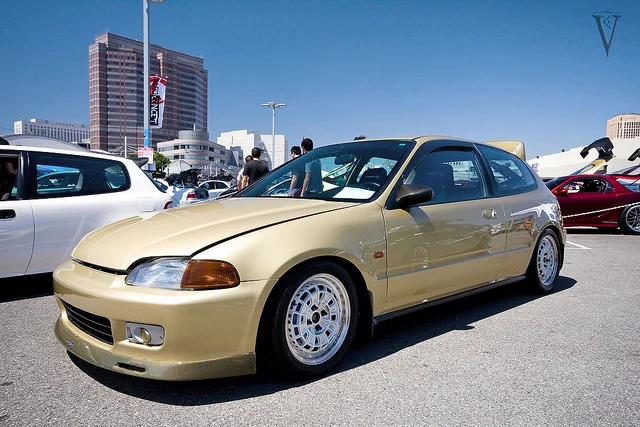 4896067947_032aa2419a_z.webp