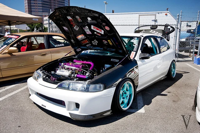 4896086401_6d0bc88b17_z.webp