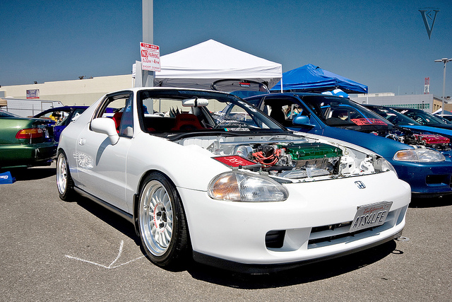 4896704644_509b1ec496_z.jpg