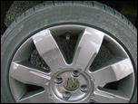 4936435_DSC00298.jpg