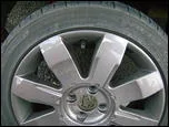 4936435_DSC00298.webp