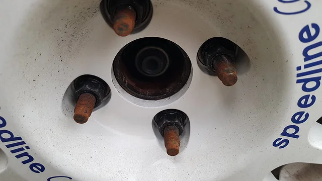 49614876823_331623e03c_z.jpg