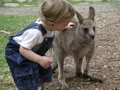 50069549_f0fe979472_m.webp