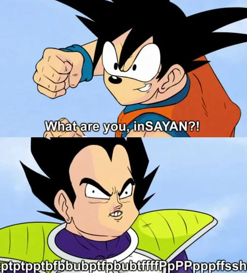 500px-Vegeta_and_goku_(P).webp