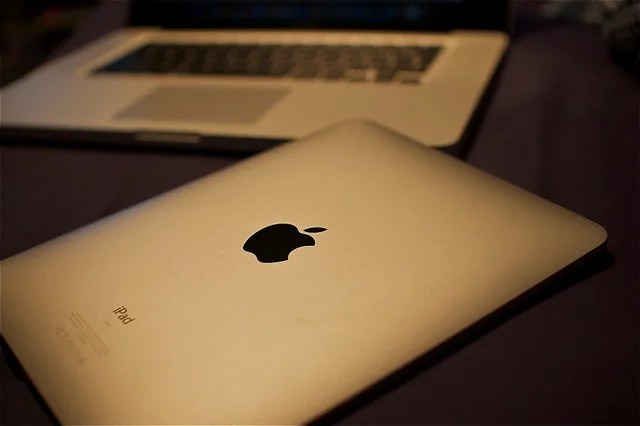 5030964510_390a2011b6_z.webp
