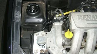 5093326381_7a6d0a643b.webp
