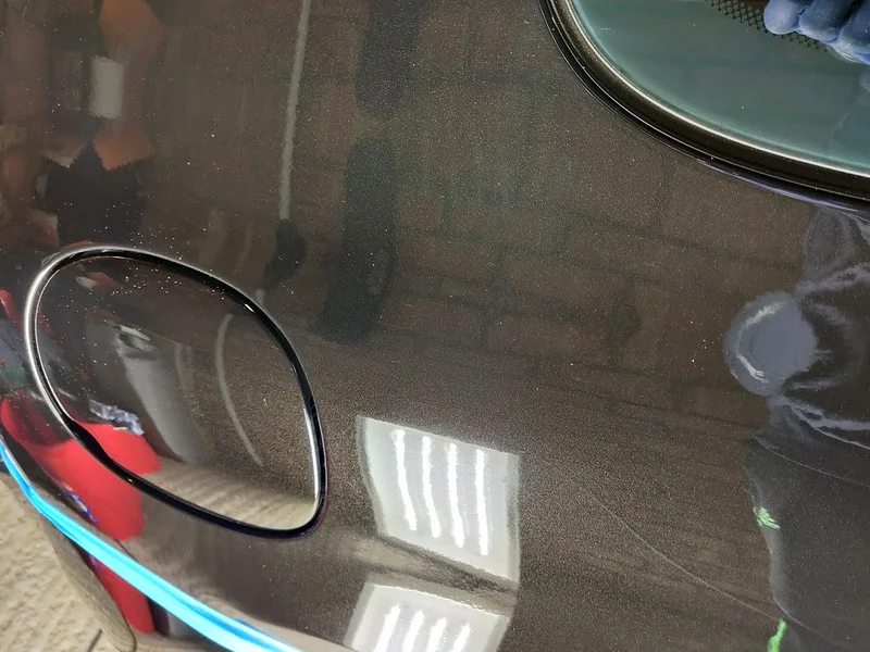 50980336516_2960999a00_c.webp
