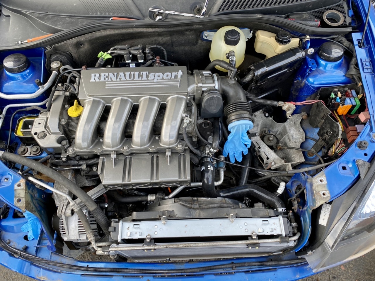 513AB828-F63A-48B0-B129-C20E2D9952C7.jpeg