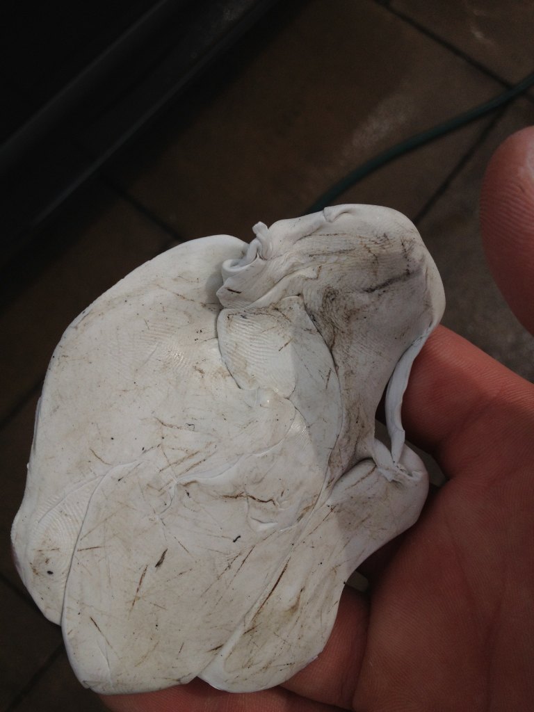 51622921-7085-427e.jpg 51622921-7085-427e.jpg