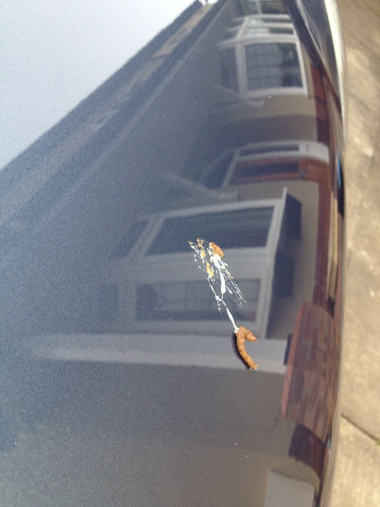 51622921-70c2-02e4.jpg 51622921-70c2-02e4.jpg