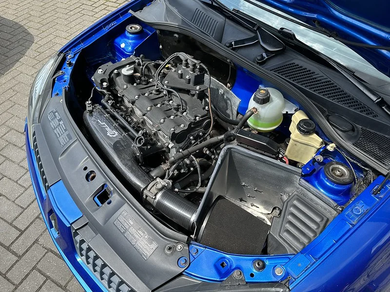 52916971118_7d293c6e7b_c.webp