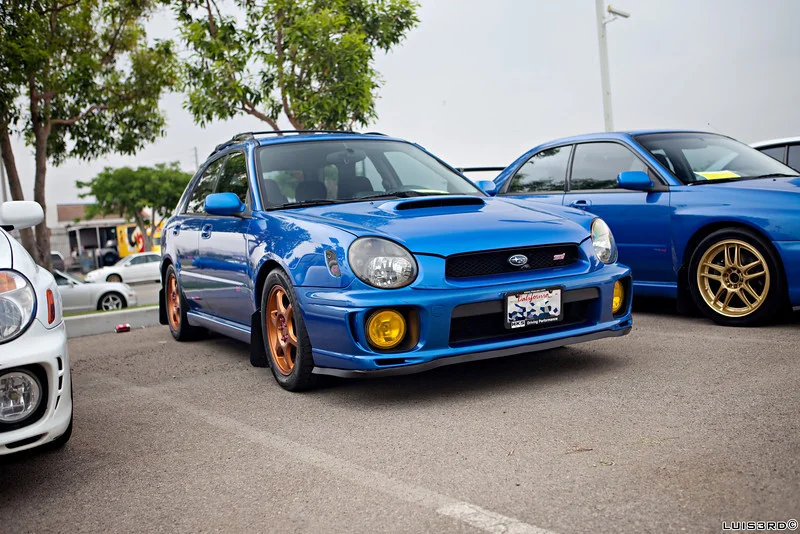 551566669_rvu6z-L.webp