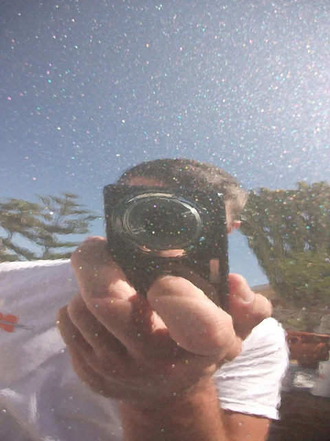 5580402103_ff6c744fd3_z.webp