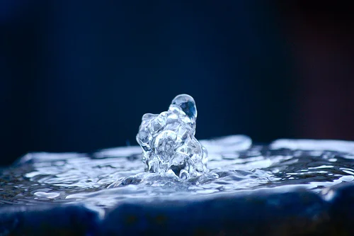 5585605570_573abf71bf.webp