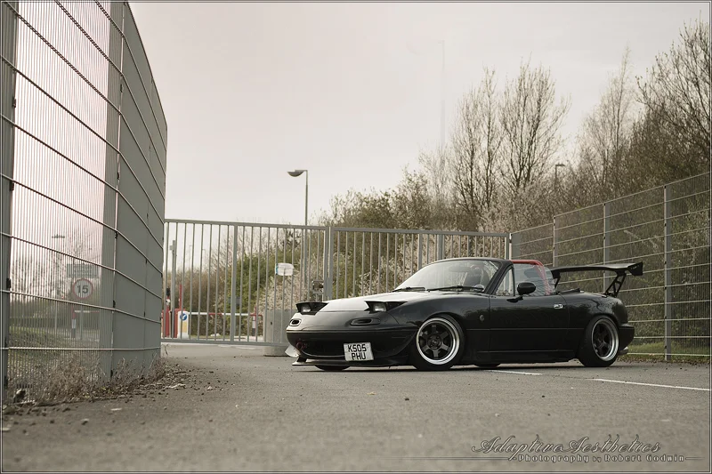 5600390683_ef7a7774ec_o.webp