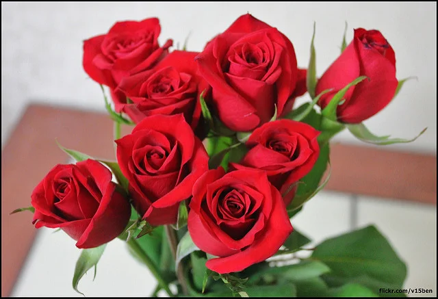 5644618979_3d995d836e_z.webp