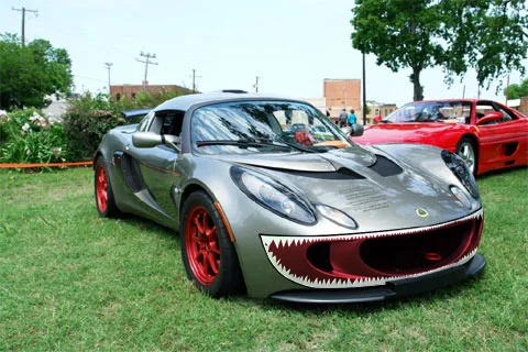 56816d1183131263-sharks-teeth-mouth-sharkmouth.webp