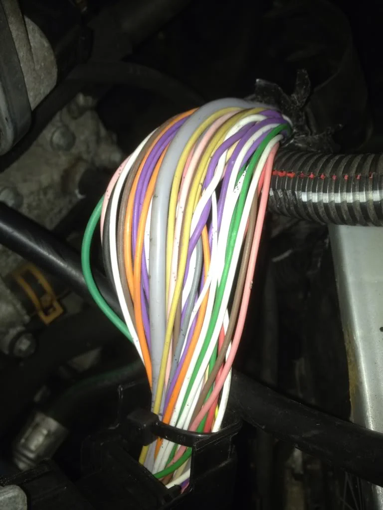 56832c1c.webp