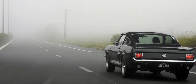 5843579538_75d9e26277_z.webp