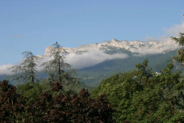 5857587181_f8b7dc23ab_z.webp