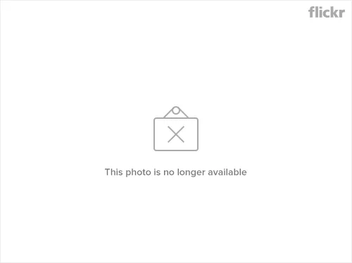 5869235780_18599f9807.webp