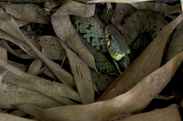 5893454132_5030ba3dcf_z.jpg 5893454132_5030ba3dcf_z.jpg