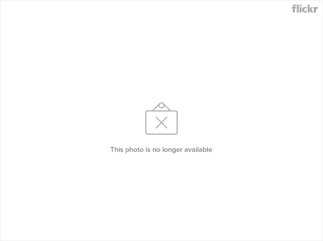 5897083594_11b9b38e11_z.webp