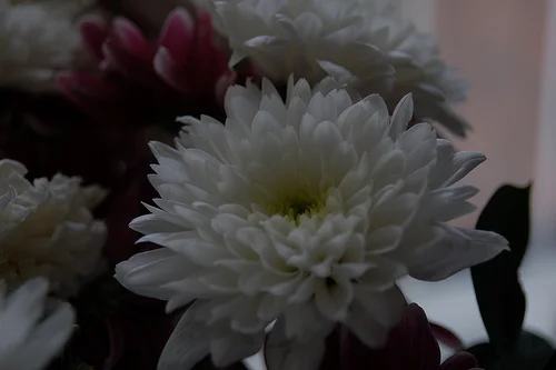 5979315353_f1ed996c78.webp