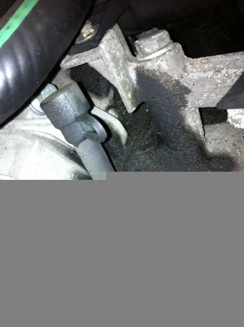 5eac02fb-2681-ca10.webp