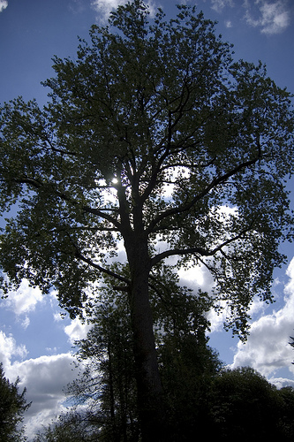 6010963781_72b7cdecaa_z.jpg 6010963781_72b7cdecaa_z.jpg