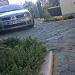 6050591299_ec2224a49b_s.webp