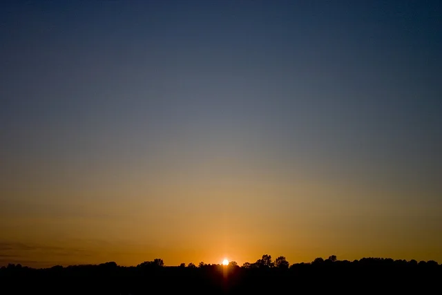 6060409236_1e13a749d0_z.webp