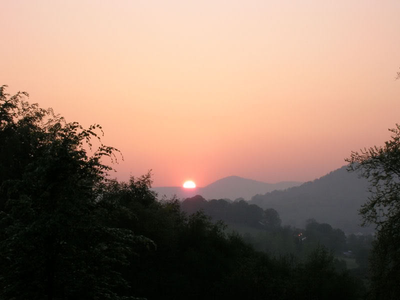 61.jpg