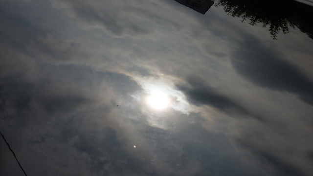 6109485914_bc59262734_z.jpg